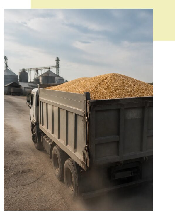 Перевозка сельхозпродукции навалом в Сосногорск по цене от 3095 р. | Агросервис-Сно